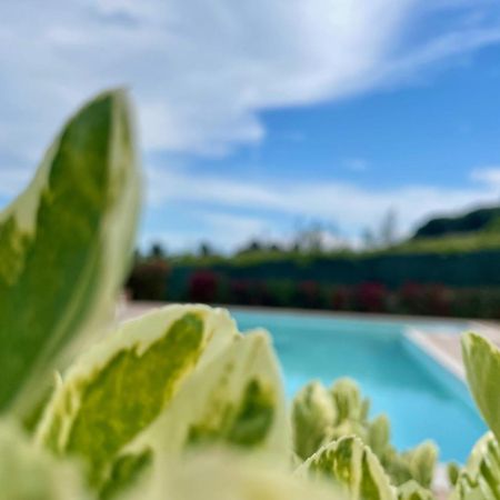Vigneto - Italian Restaurant & B&B Villa Rosa Di Martinsicuro Bagian luar foto