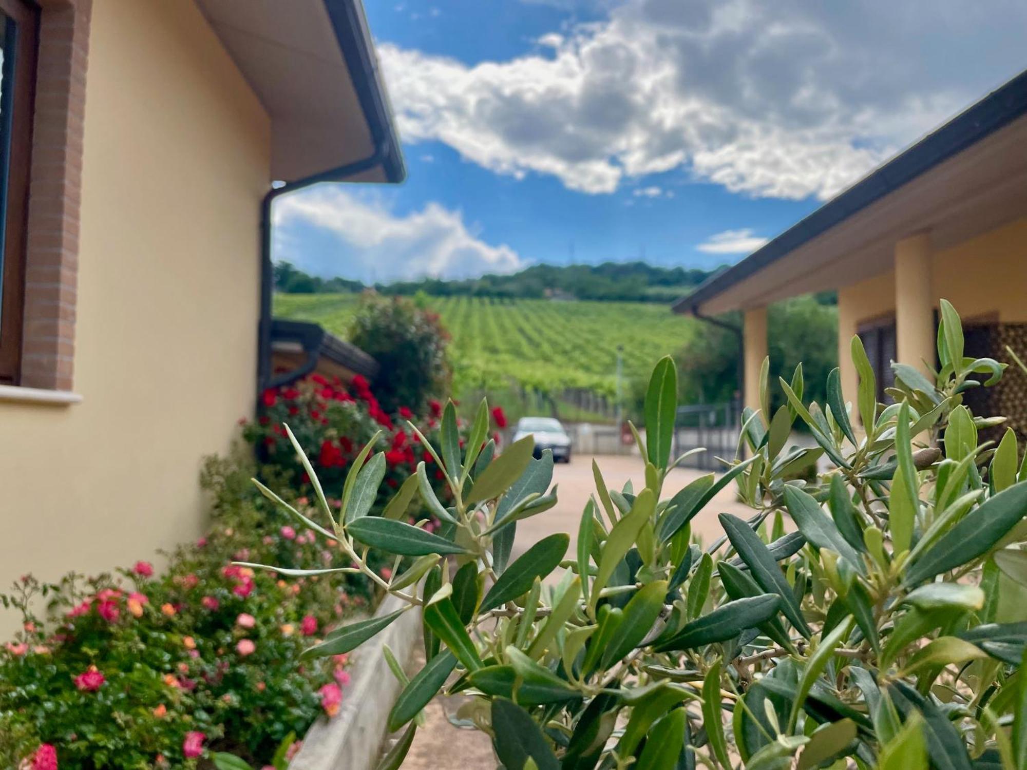 Vigneto - Italian Restaurant & B&B Villa Rosa Di Martinsicuro Bagian luar foto