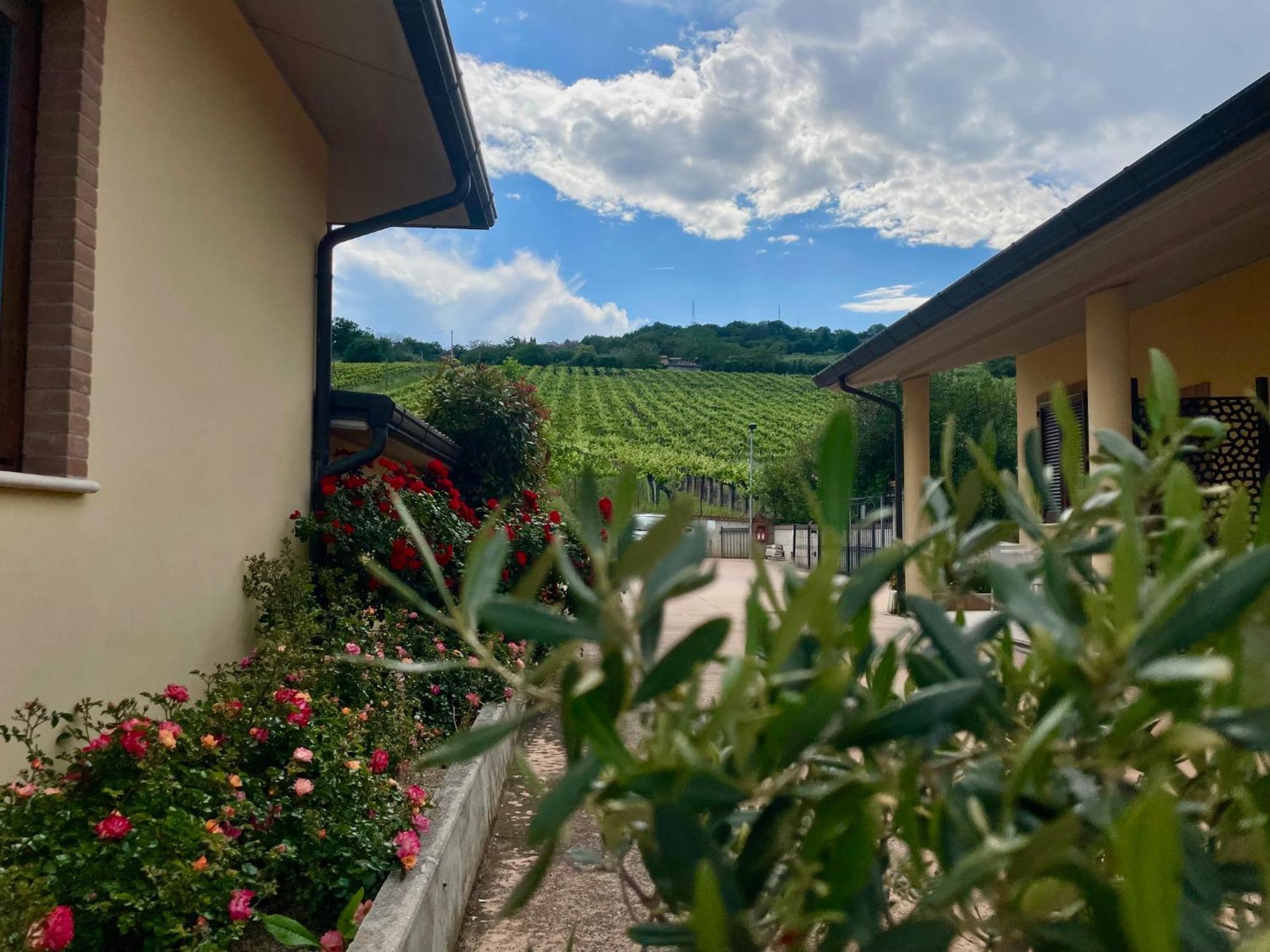 Vigneto - Italian Restaurant & B&B Villa Rosa Di Martinsicuro Bagian luar foto